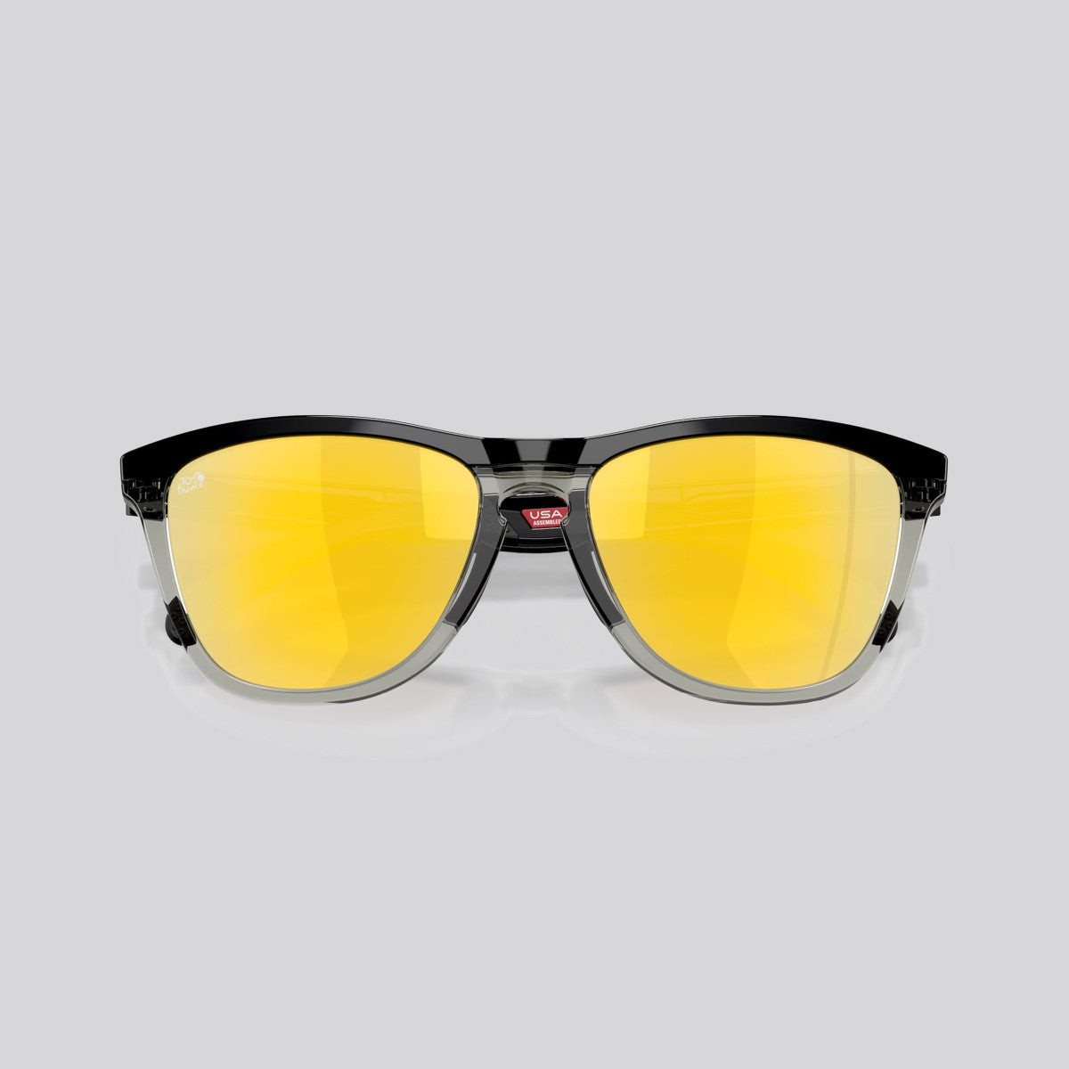 Lentes de Sol Oakly Frogskins Range Prizm/Black