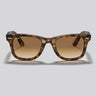 Lentes de Sol Ray-Ban Wayfarer Green/Light Havana