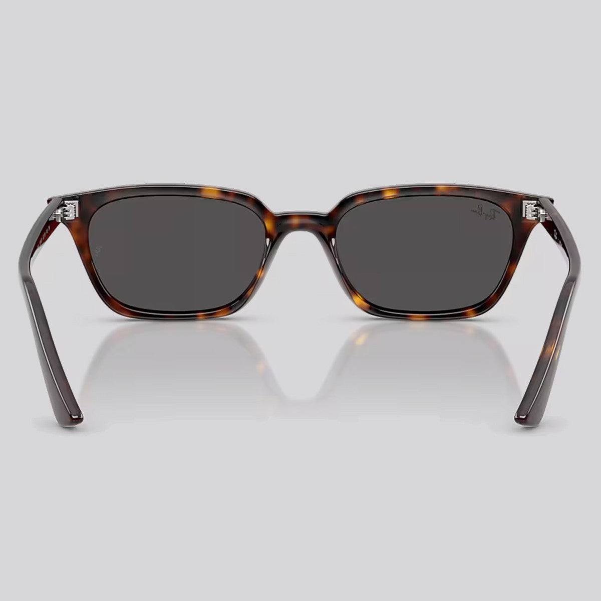 Lentes de Sol Ray-Ban Zaya Havana / Dark Grey