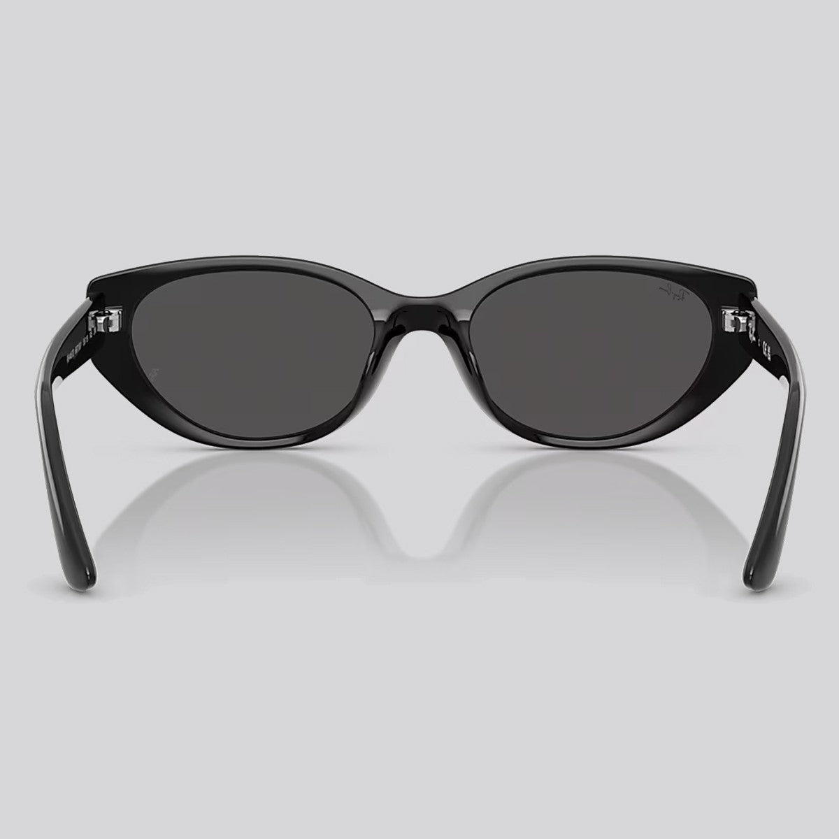 Gafa Ray-Ban RB4457D Black