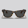 Lentes de Sol Ray-Ban Wayfarer Havana on Transparent Brown / Dark Grey