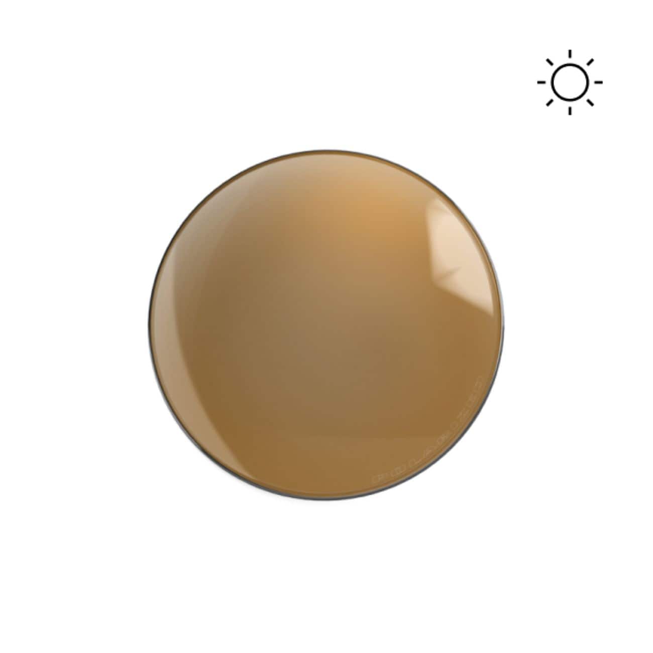 Bronze Polarized