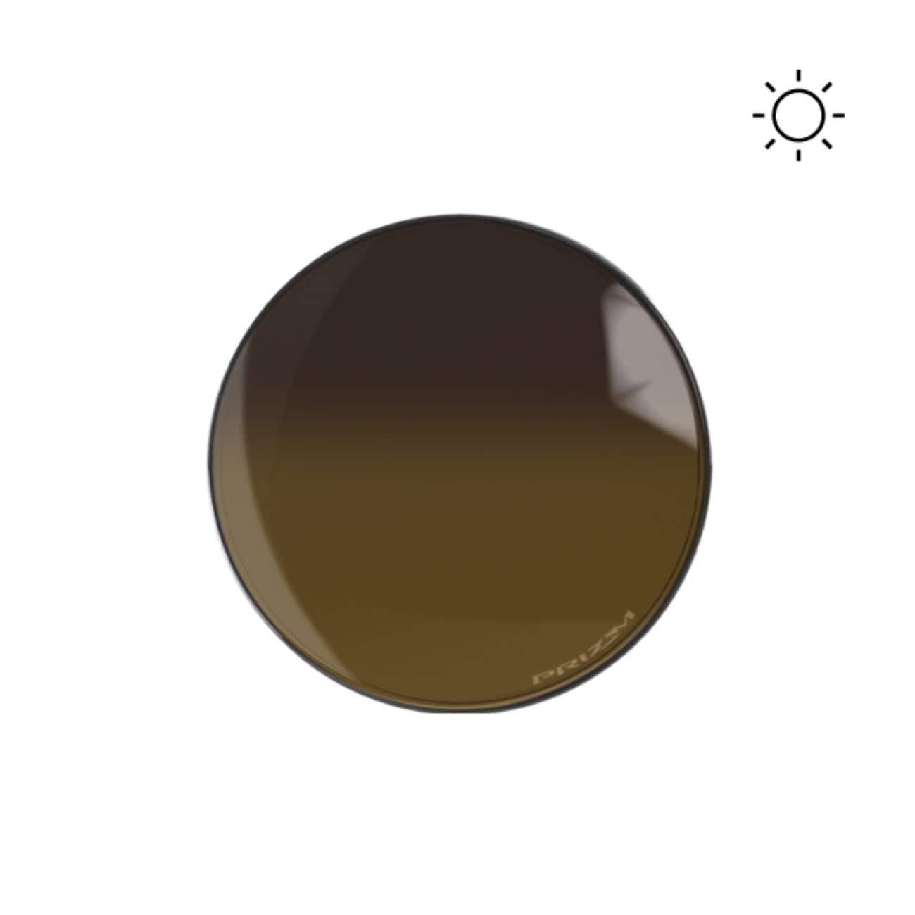 Prizm Brown